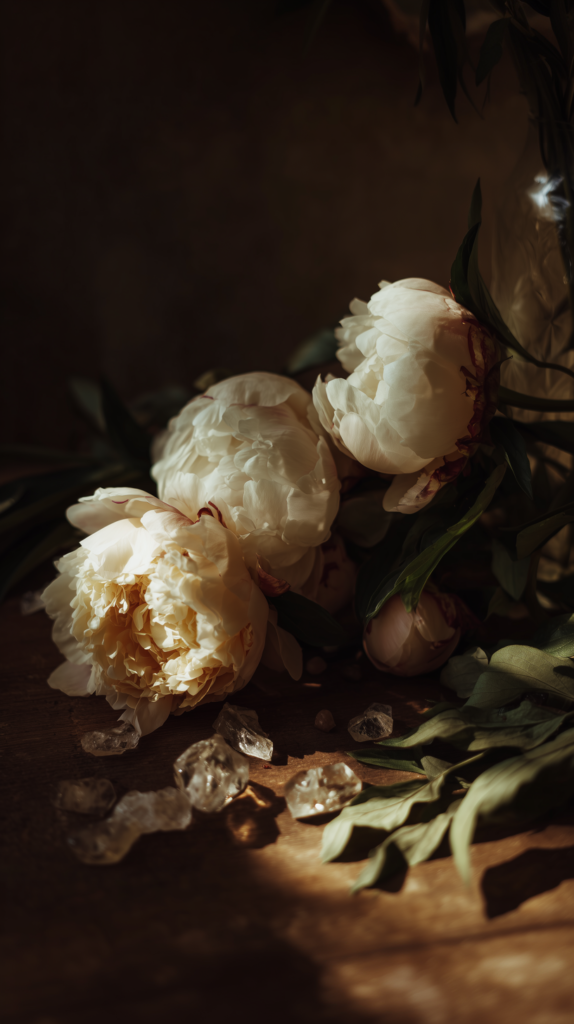 themagiclightstudio_close_up_of_BEAUTIFUL_fresh_pivoines_with_a7d94312-9f0d-4060-8dbb-30ca09b07b96_2
